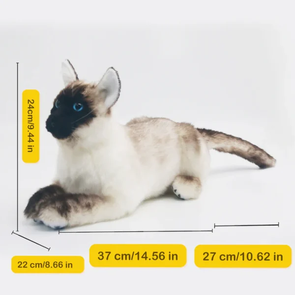 Siamese Cat - Image 5